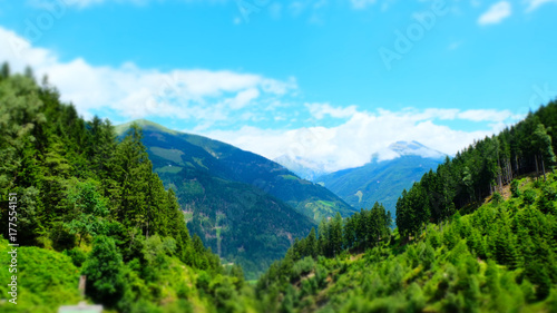 Austrian alpine green summer forest, Raggachlucht, Austria