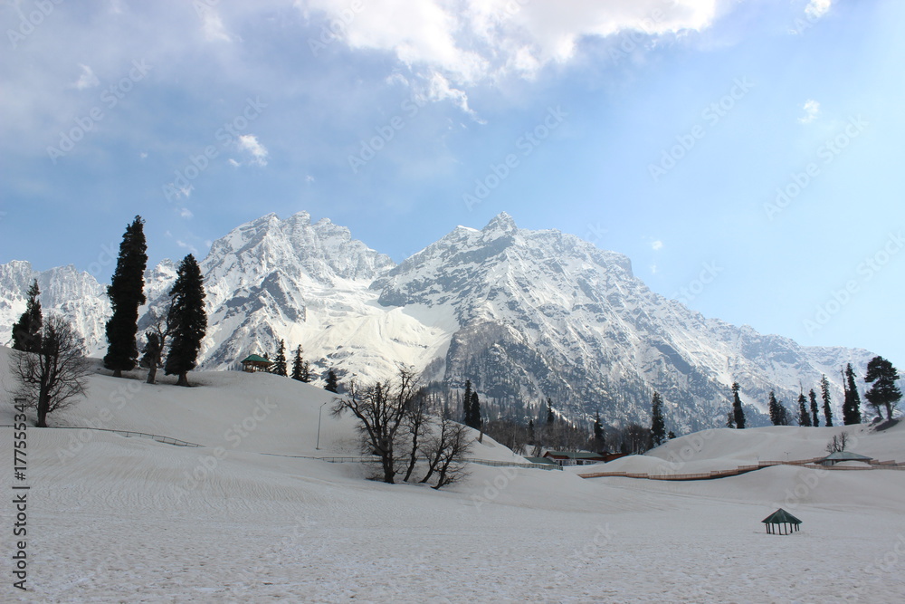 Obraz premium Snow mountain with sky and pine tree 
