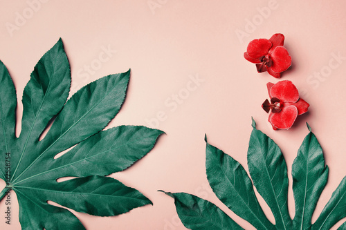 Pink background with orchids and exotic leaves, plenty of copy space