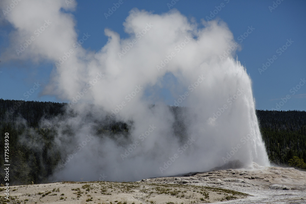 Fototapeta premium Old Faithful Cone Geyser in Yellowstone National Park