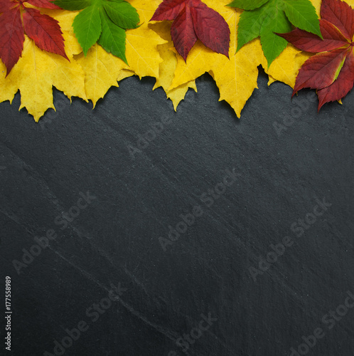Autumn leaves on blackboard