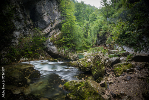 Vintgar Gorge  Slovenia