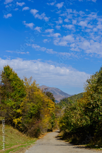 Beautiful mountain forest in autumn colors, Armenia