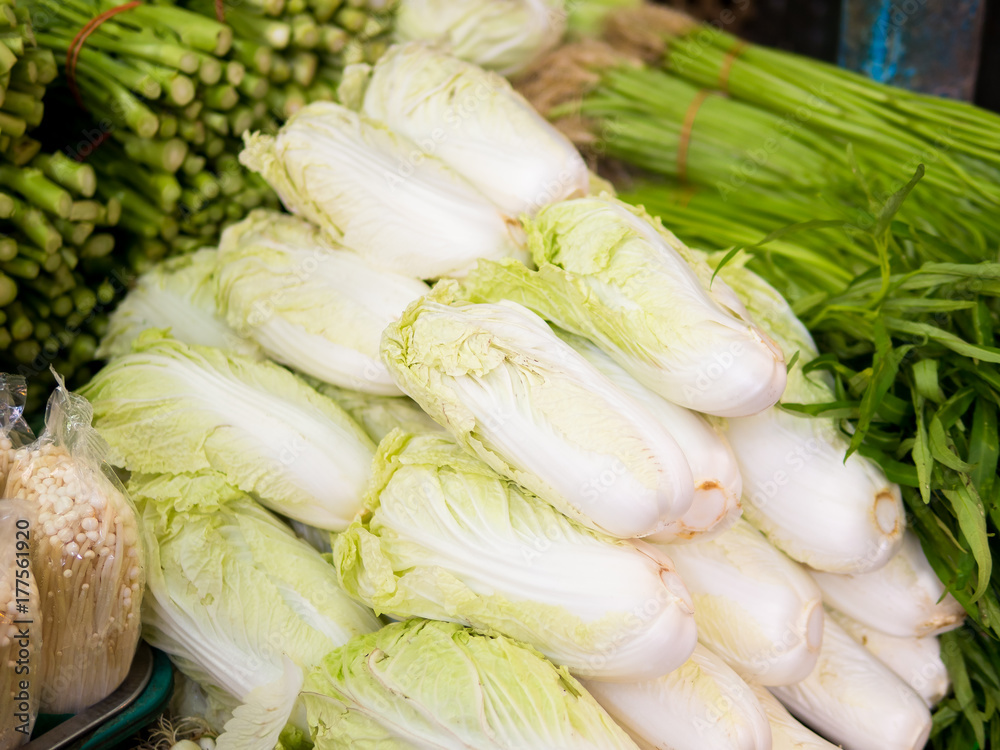 Chinese Cabbage or napa cabbage on the market. (Brassica rapa subsp, pekinensis.) Close up many of fresh organic vegetables on the local market on countryside of Thailand. - Selective focus. Chinese Cabbage or napa cabbage on the market. (Brassica rapa subsp, pekinensis.) Close up many of fresh organic vegetables on the local market on countryside of Thailand. - Selective focus.