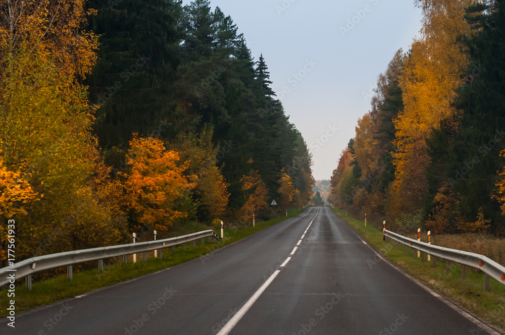 Road through the colorful forest. Fall time.
