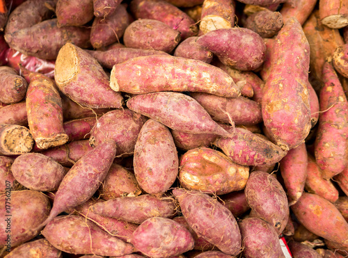 Fresh Sweet potatoes. Stack of sweet potato corms (Lpomoea batatas) for retail sale in local market of Thailand. Always used by Asia people as ingredient in their cook and traditional food.