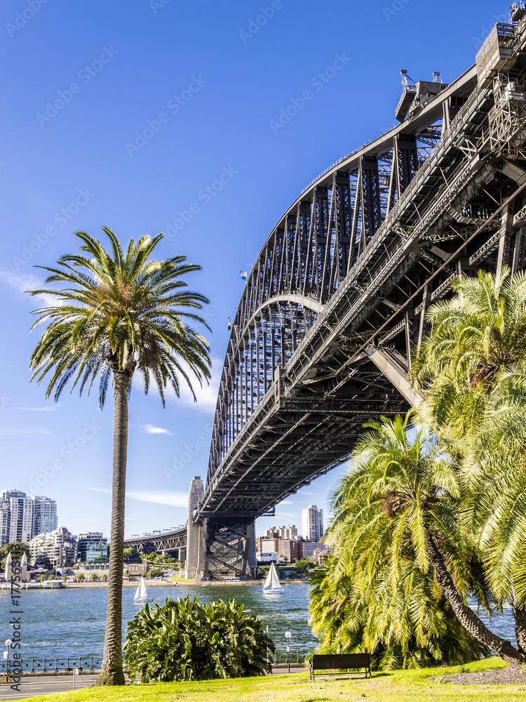 Naklejka premium żelazny most w Sydney widziany z dzielnicy Rock