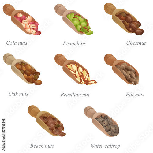 Eight shovels with nuts in them. Part two / There are cola nuts, pistachios, chestnut, oak and Brazilian nuts, pili and beech nuts, and water caltrop in the shovels
