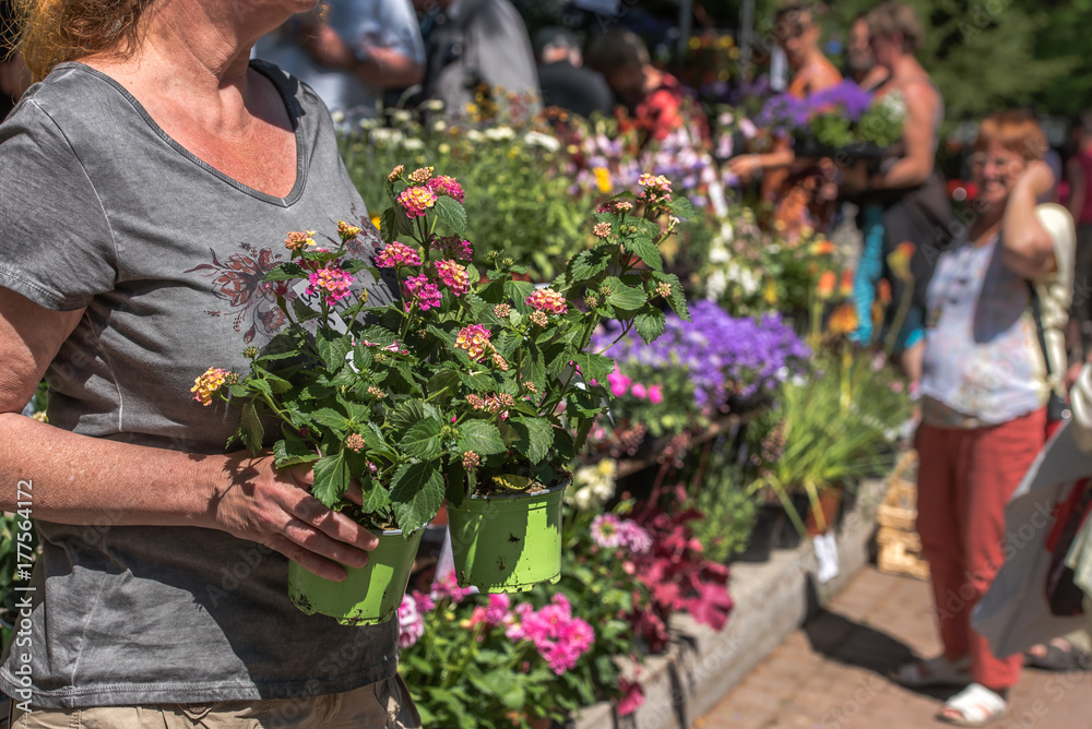 Fototapeta premium Variety of plants and flowers at flower market, selective focus on flowers