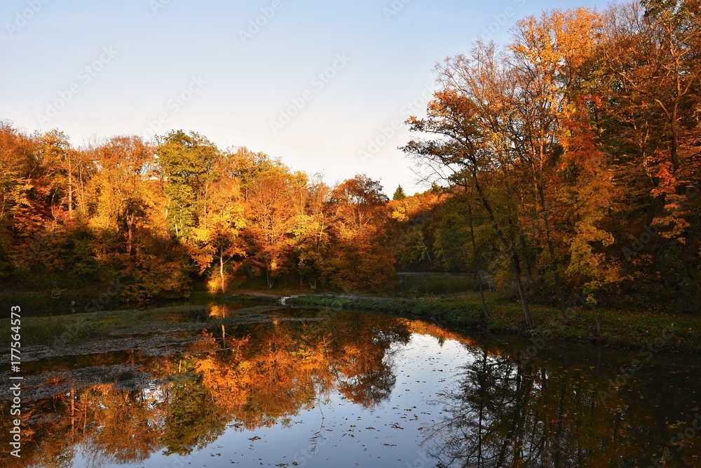Autumn. Beautiful colorful leaves on trees in autumn time. Natural seasonal color background. Autumn. Beautiful colorful leaves on trees in autumn time. Natural seasonal color background.