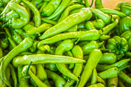 chili pepper plant © blankvoid