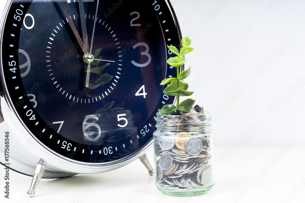 coins with plant and clock, isolated on white background. savings concept coins with plant and clock, isolated on white background. savings concept