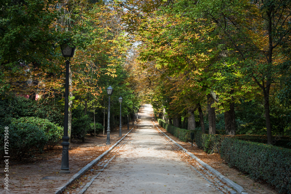 Parc du Retiro à l'automne, Madrid, Espagne