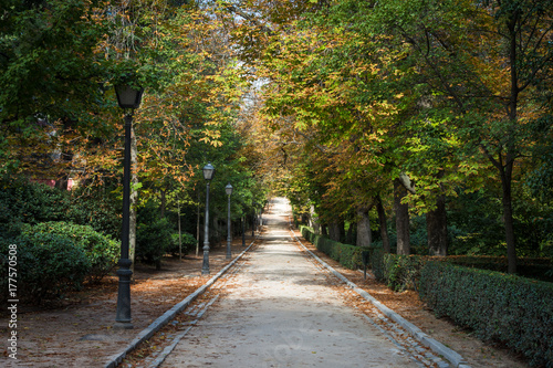 Parc du Retiro    l automne  Madrid  Espagne