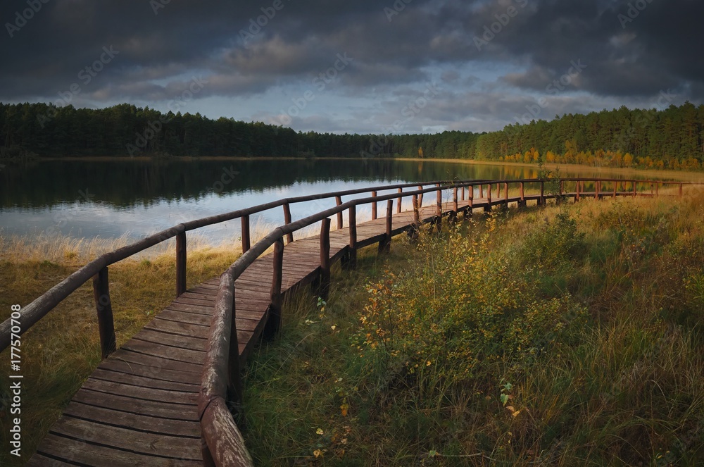 Fototapeta premium Wood path at te lake