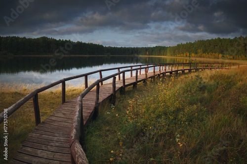 Wood path at te lake