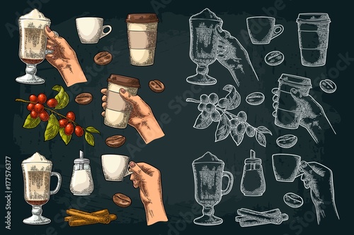 Set coffee. Glass latte, hand hold cup. Branch with beans