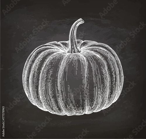 Chalk sketch of pumpkin