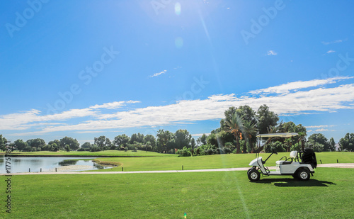 golf carts photo