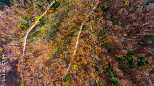 Top view of a road through forest.