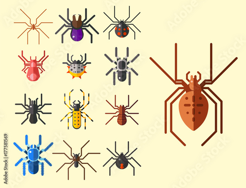 Spider web silhouette arachnid fear graphic flat scary animal design nature insect danger horror halloween vector icon.
