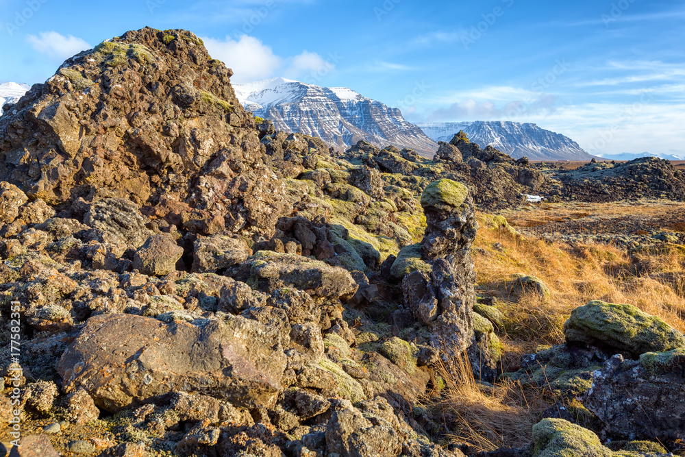 Obraz premium Iceland landscape with lava stones covered with moss