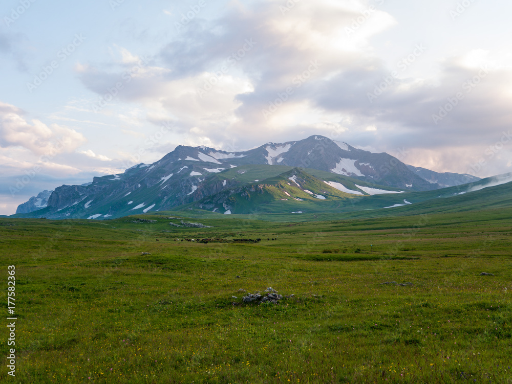 High-mountain meadow at sunset. North Caucasus