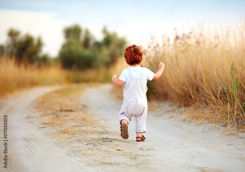 cute toddler baby boy running away along the path at summer field - obrazy, fototapety, plakaty 