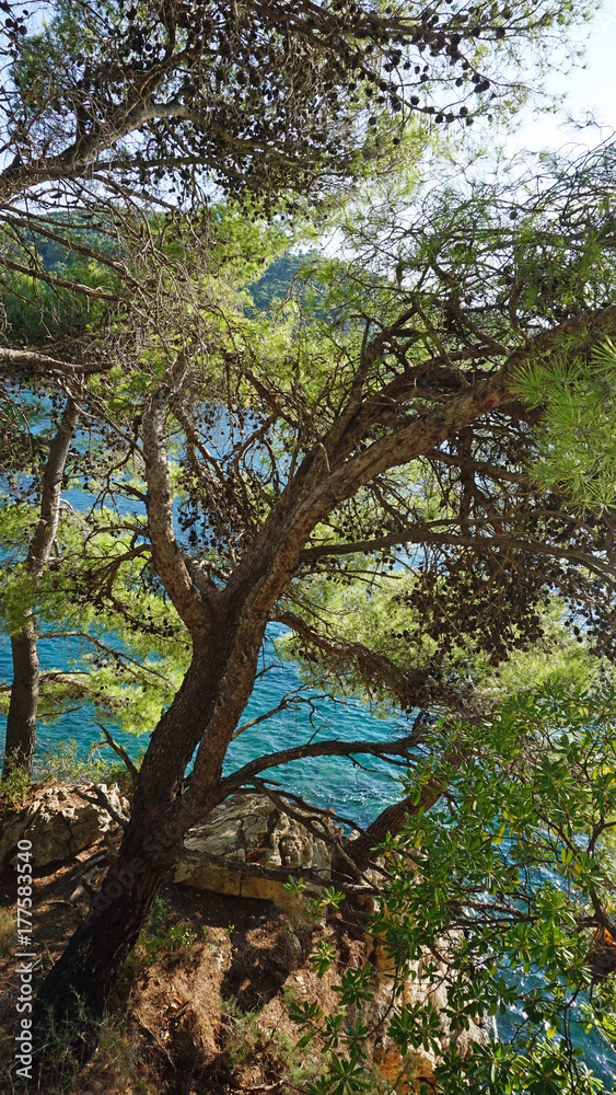 amazing natural beach in croatian town dubrovnik amazing natural beach in croatian town dubrovnik