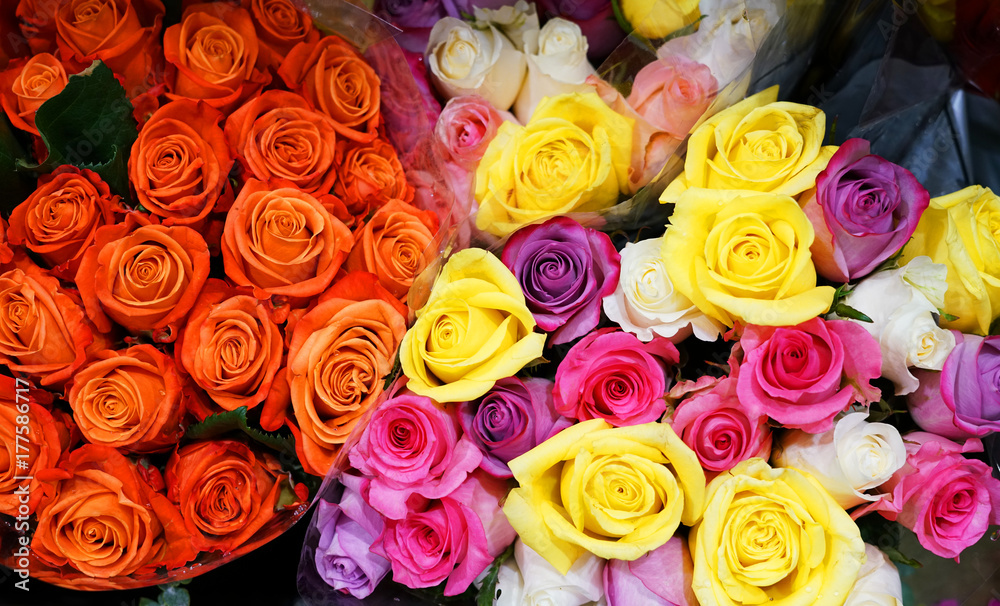 Close up on bouquets of colorful roses