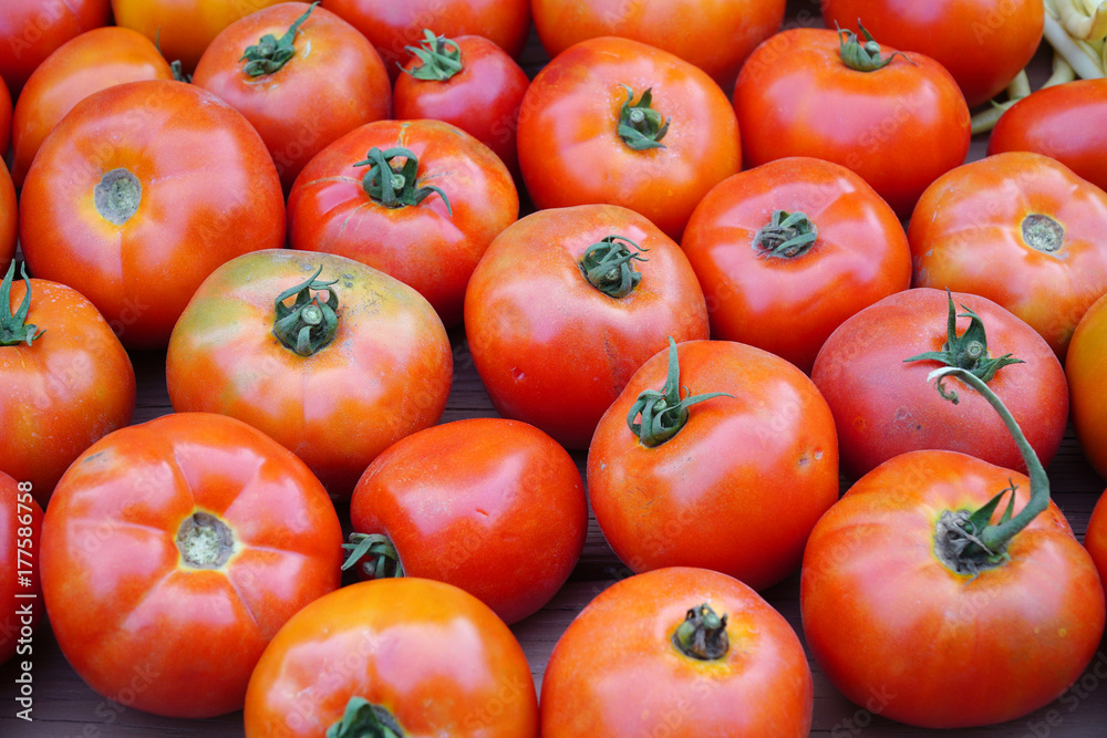 close up on fresh farm picked tomatoes in harvest season close up on fresh farm picked tomatoes in harvest season