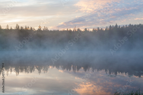 Fototapeta Naklejka Na Ścianę i Meble -  Foggy morning at forest pond landscape Finland