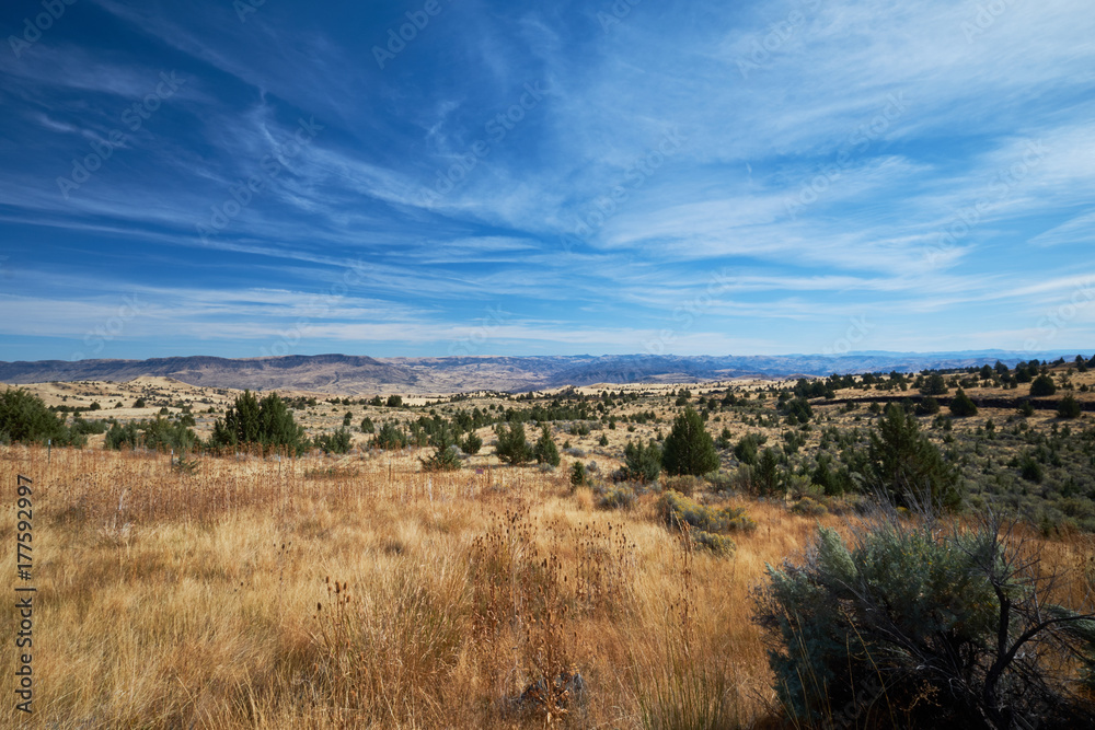 Central Oregon High Desert Landscape with Blue Sky, Grass and Sage Bush Central Oregon High Desert Landscape with Blue Sky, Grass and Sage Bush
