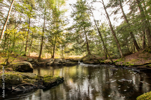 Fotografija bracebridge