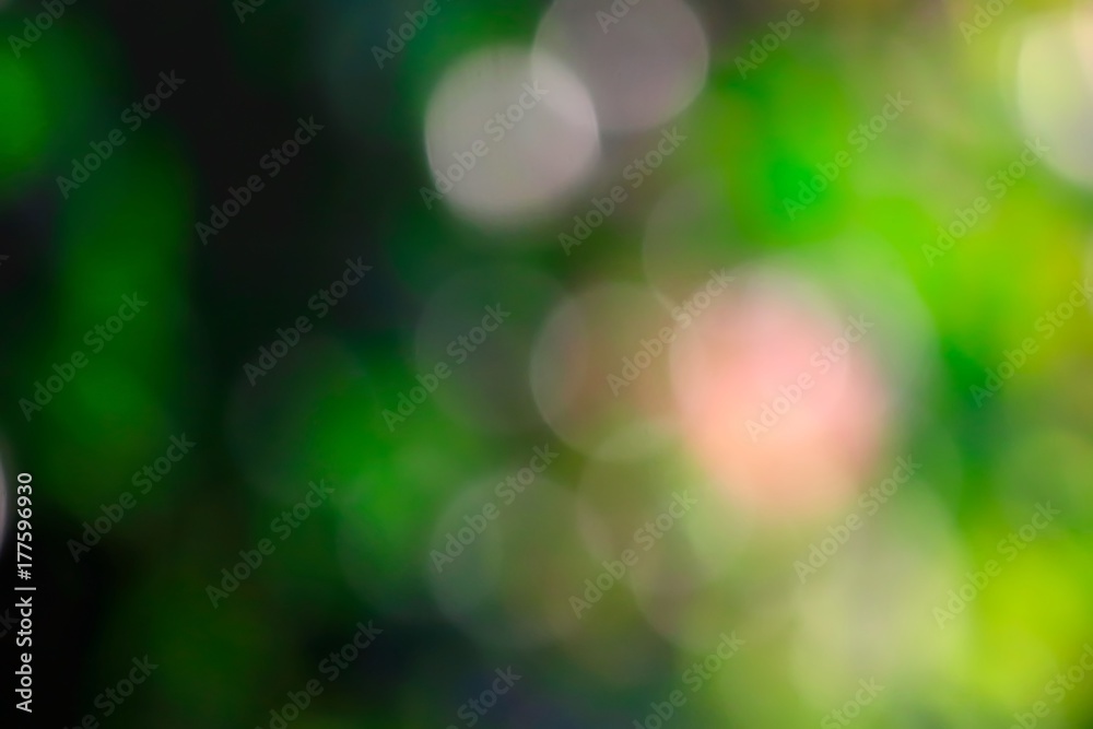 Obraz premium Blur Sunlight For Green Background