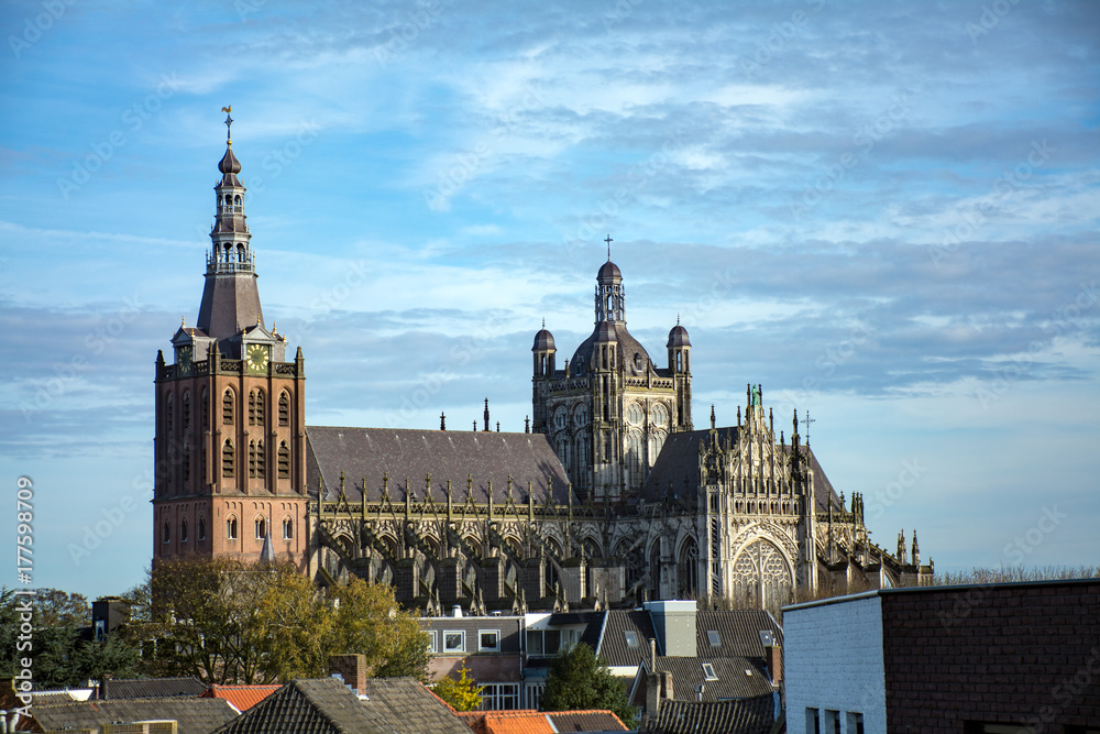 Fototapeta premium St. John's Cathedral at Den Bosch, The Netherlands