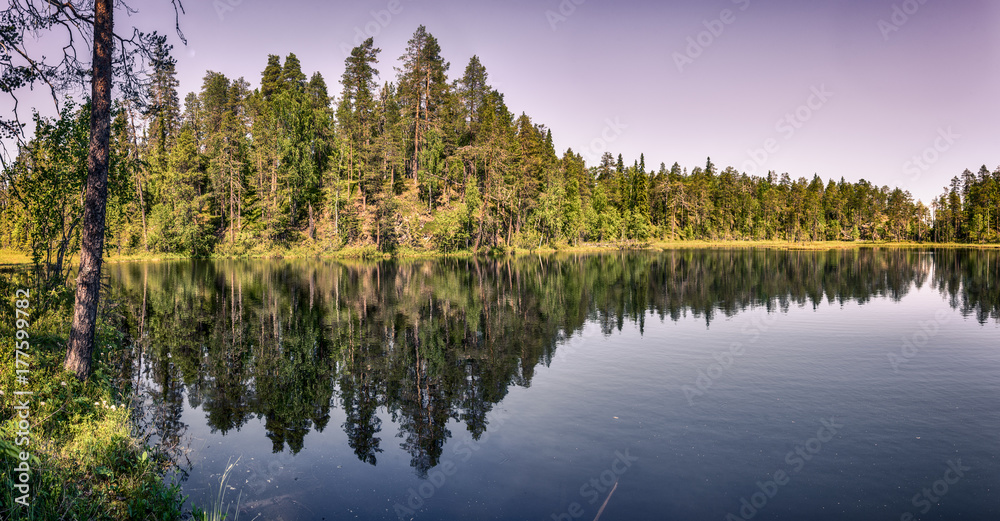Calm lake view and a beautiful trees in Lapland.