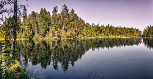 Calm lake view and a beautiful trees in Lapland.