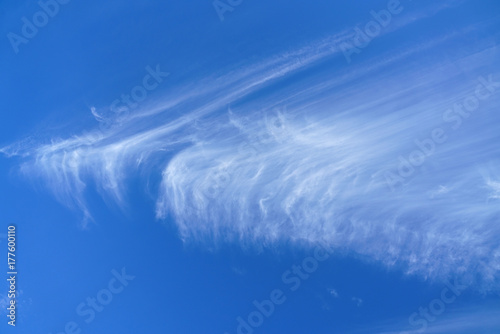 Fluffy white cloud in the wind in the sky