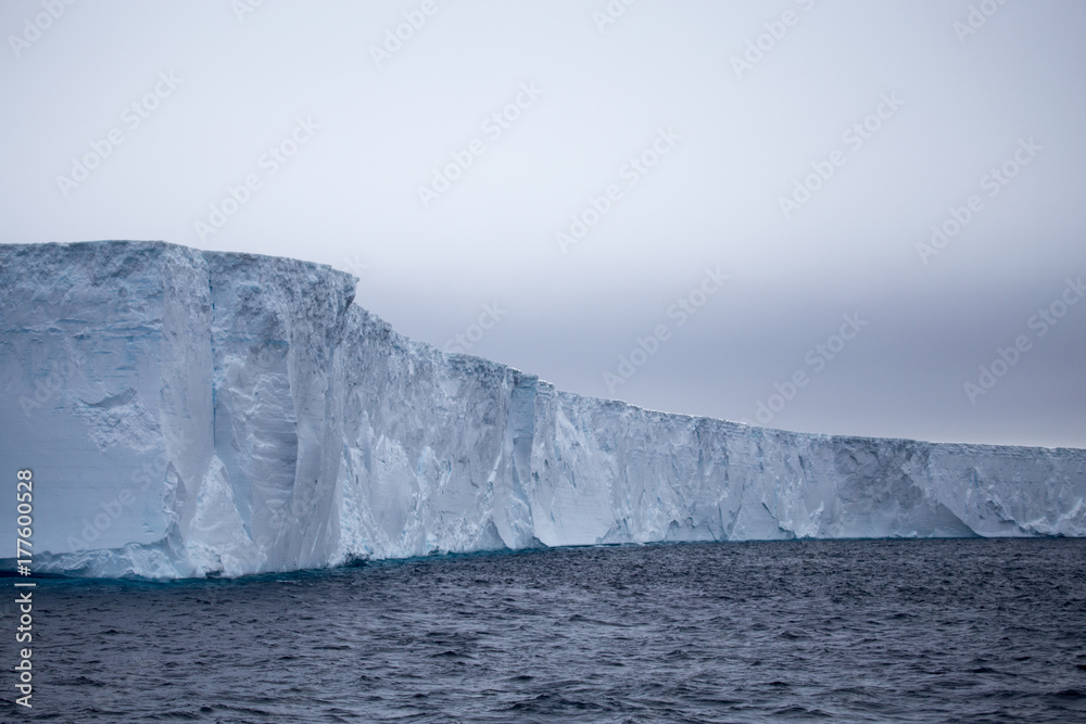 Large Tabular Icebergs, Antarctic Sound, Antarctica