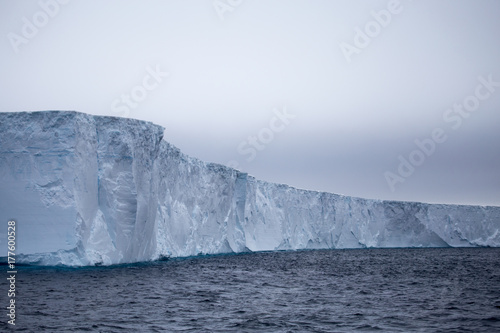 Large Tabular Icebergs, Antarctic Sound, Antarctica