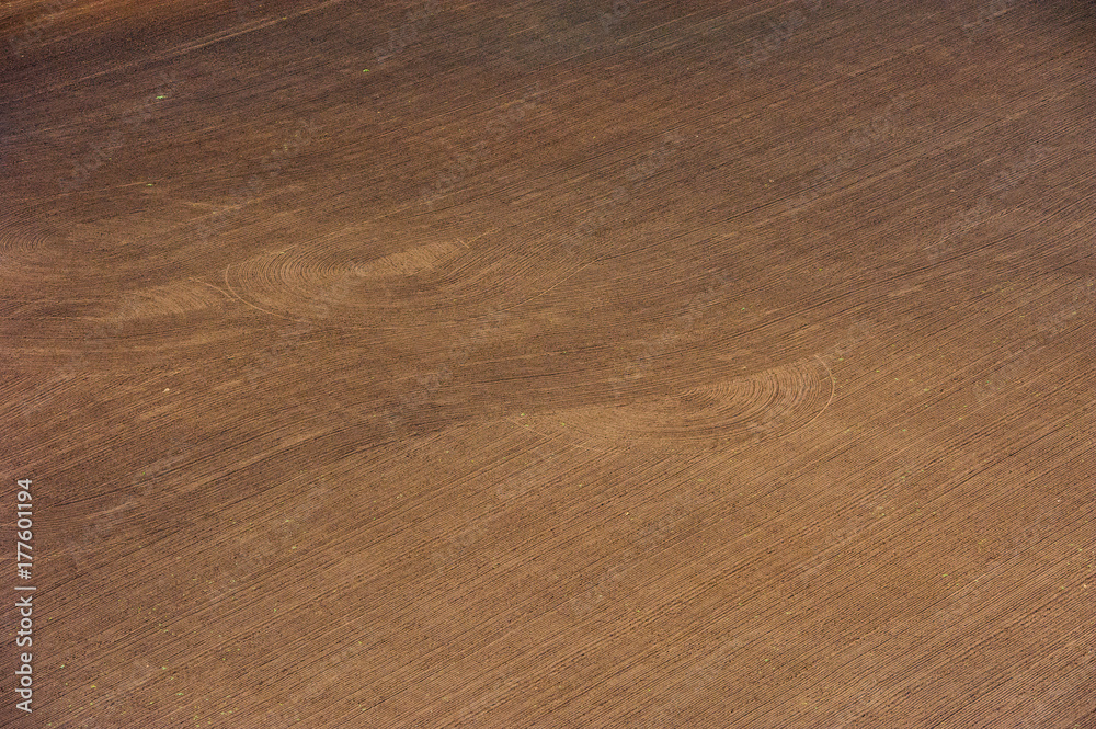 Obraz premium Fields and meadows. Aerial view. Landscape.