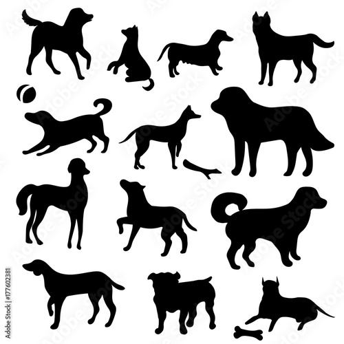 A set of dog isolated. Black silhouette of a dog on a white background. Collection of black icons of dogs. Vector illustration.