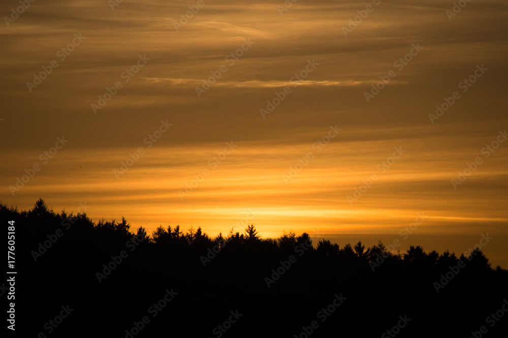 Sonnenuntergang über dem Wald 