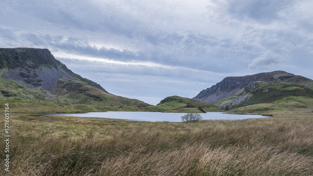 Evening landscape image of Llyn y Dywarchen lake in Autumn in Snowdonia National Park