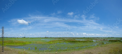 Fresh scenery countryside with fields natural and clear sky background  clean summer landscape panorama  Ideal as for background and nature design.