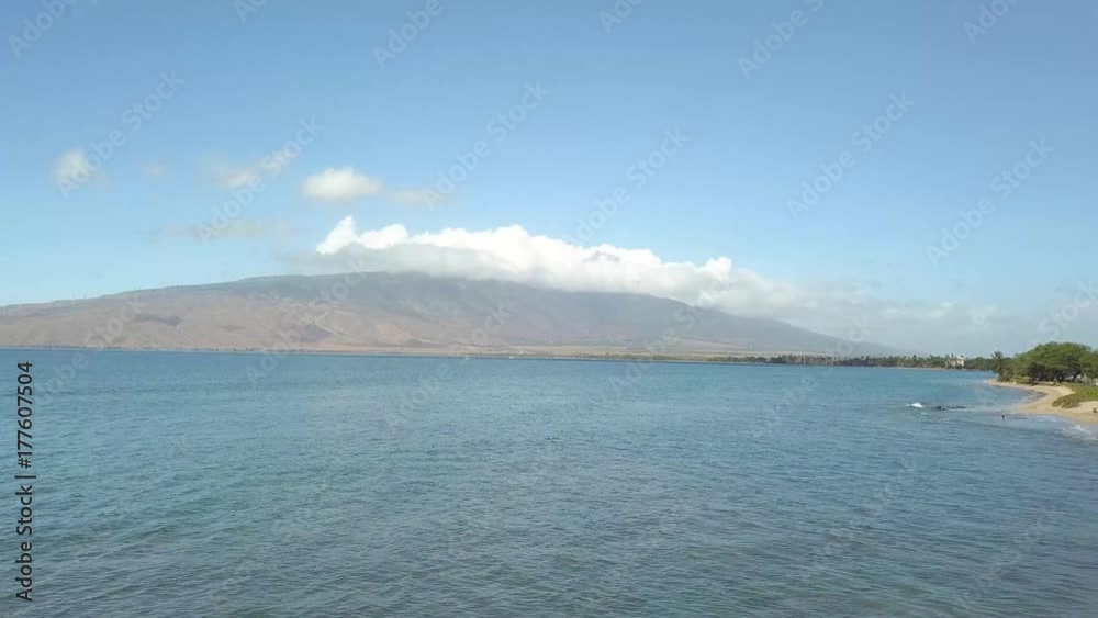 Palm Trees with Mountain Maui Hawaii Palm Trees with Mountain Maui Hawaii