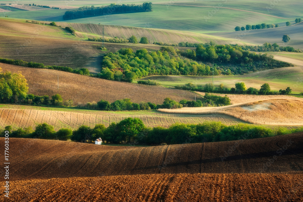 panoramic view of the field waves with lines, south moravia, autumn