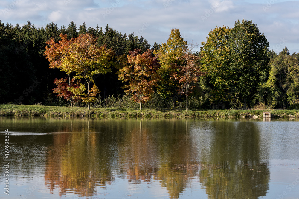 bushes and trees with colorful leaves reflected in water in autumn bushes and trees with colorful leaves reflected in water in autumn
