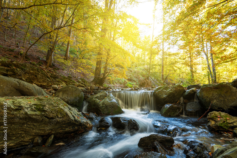 Obraz premium Autumn waterfall in forest